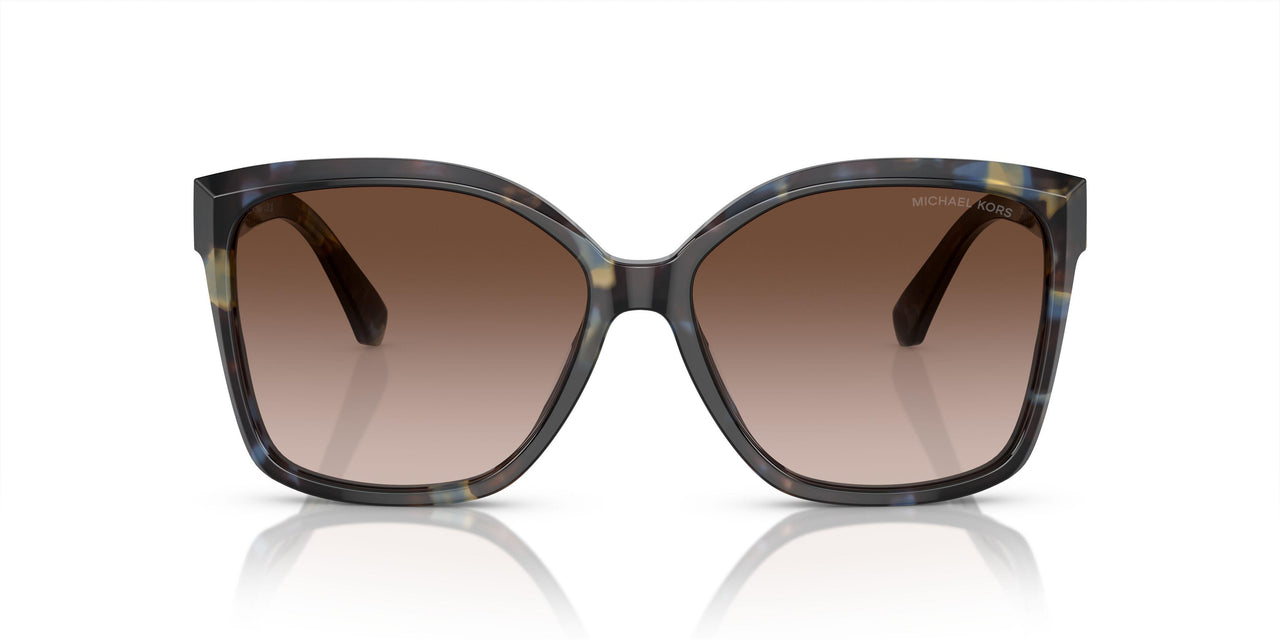 395213 - Bright Blue Tortoise - Brown Gradient