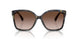 395213 - Bright Blue Tortoise - Brown Gradient