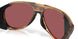 911711 - Tortoise - Gold Mirror