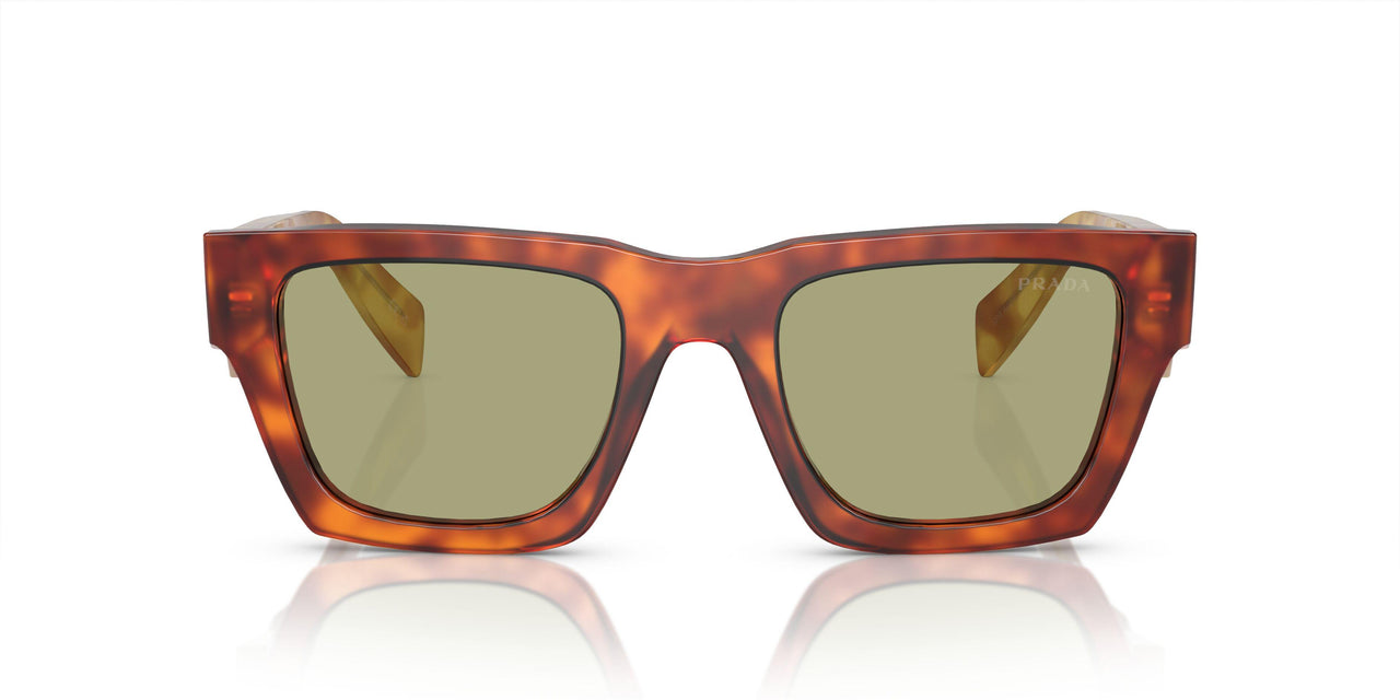 11P60C - Brown - Green