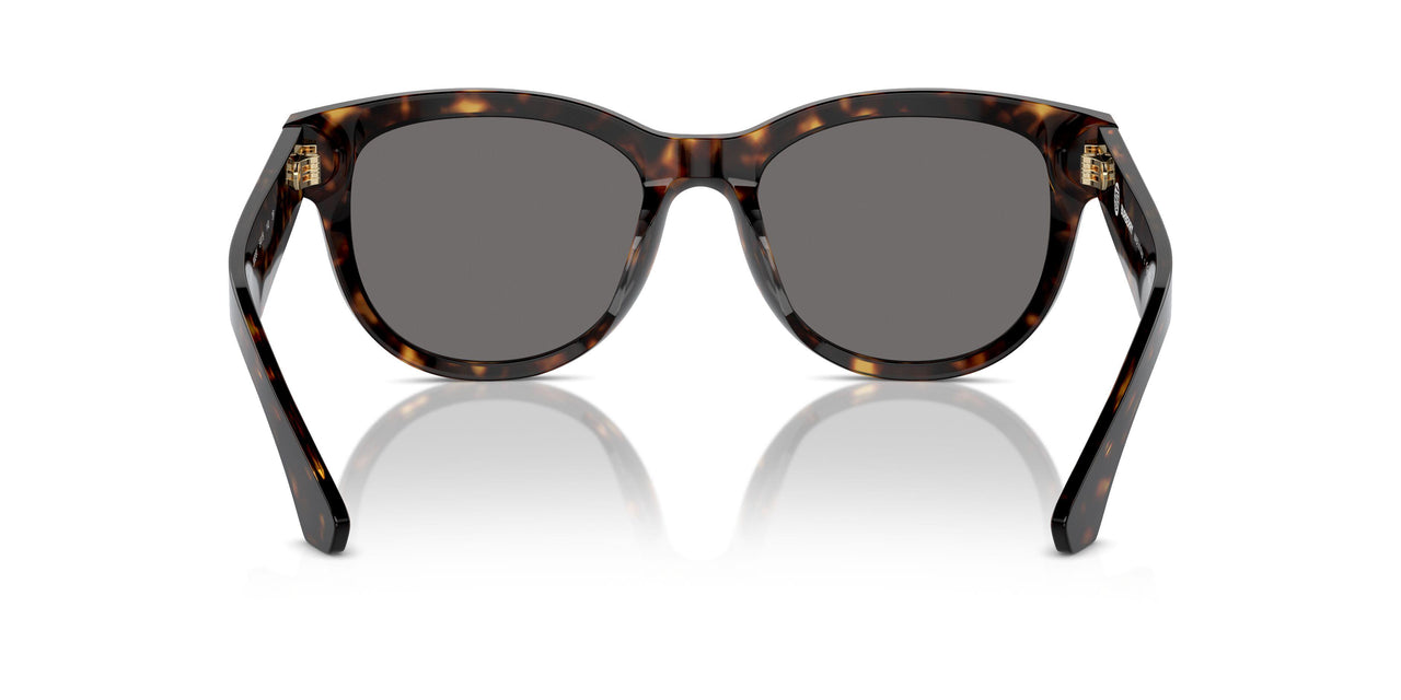300281 - Brown - Dark Grey Polarized