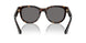 300281 - Brown - Dark Grey Polarized