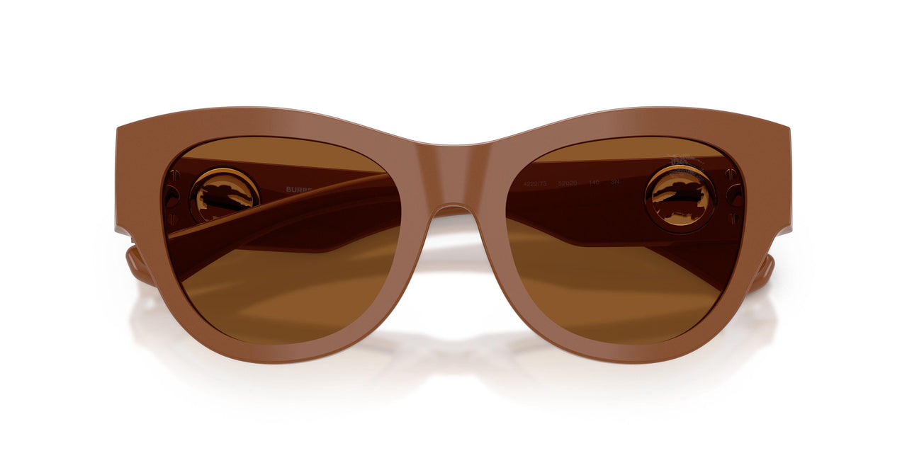 422273 - Brown - Dark Brown