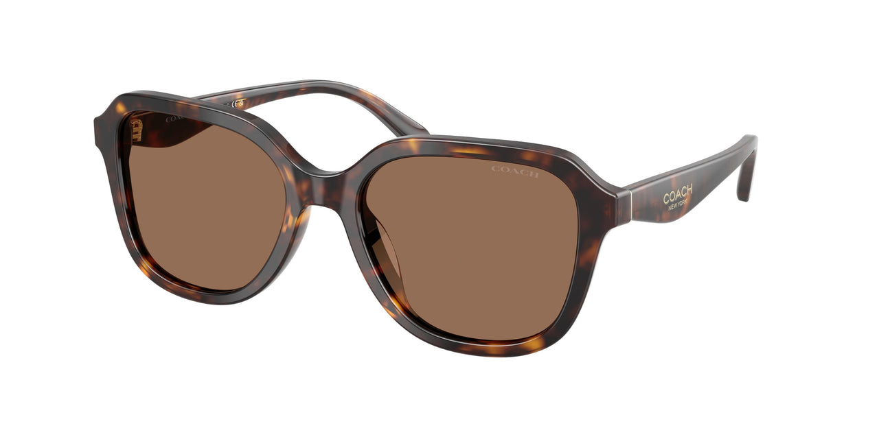 Coach Cby89 8437F Sunglasses