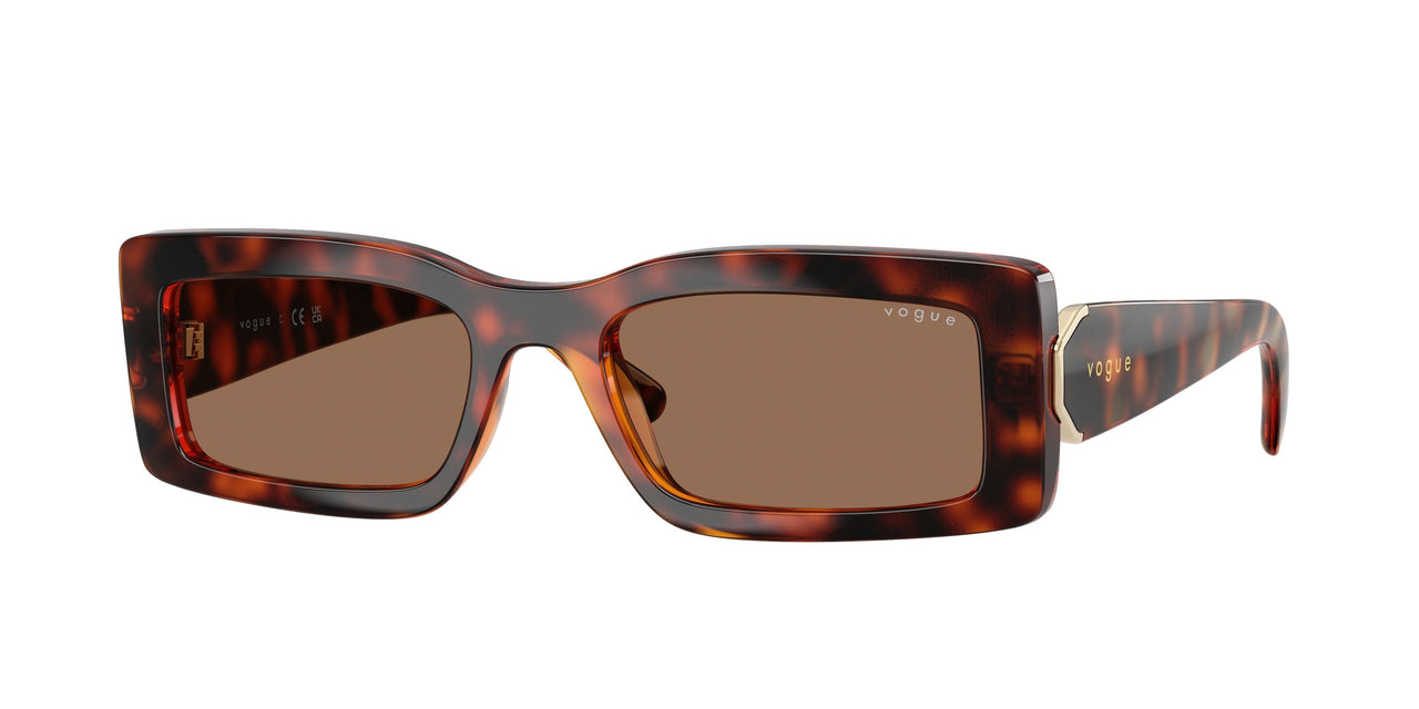 W65673 - Brown - Dark Brown