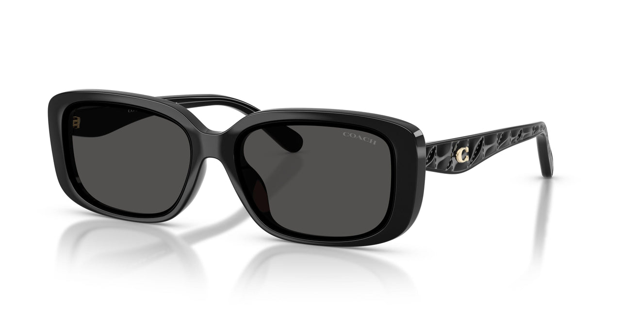 500287 - Black - Grey Solid