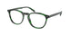 Polo 2247 Eyeglasses