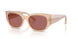 323469 - Brown - Dark Violet