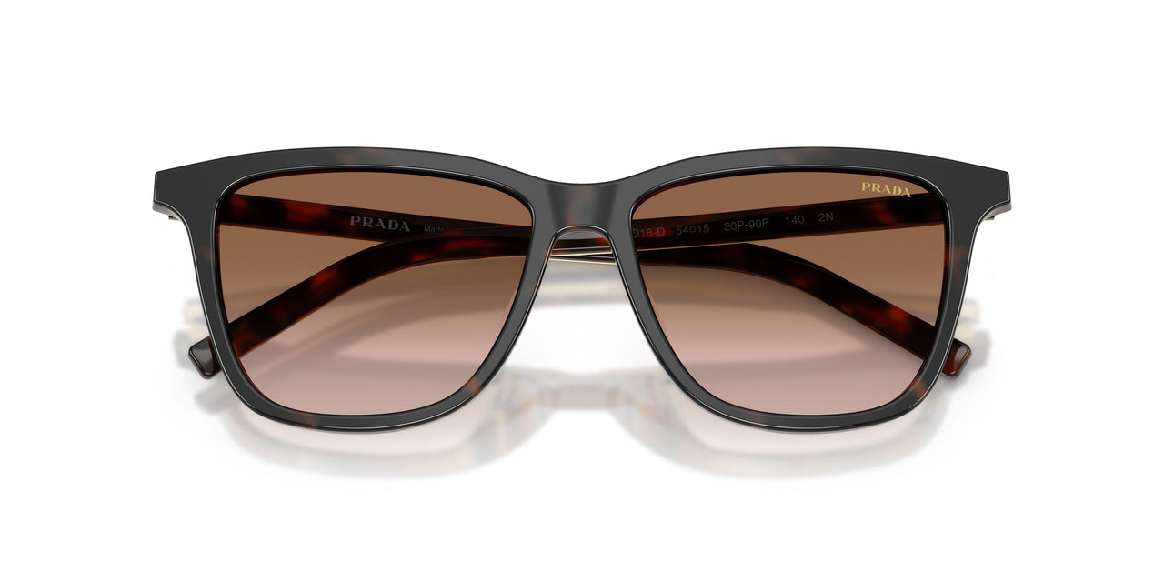 20P90P - Tortoise - Brown Gradient