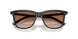 20P90P - Tortoise - Brown Gradient