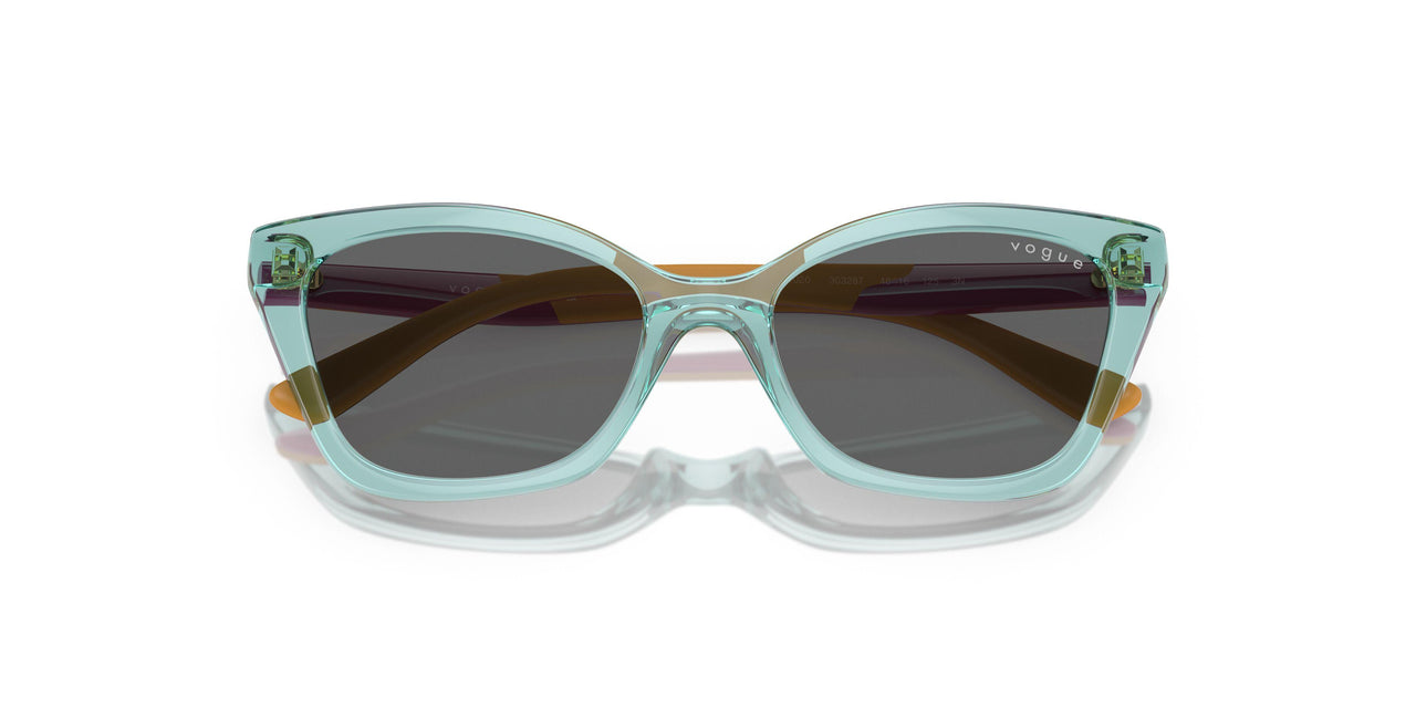 303287 - Transparent Sage - Dark Grey