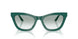 63248E - Green - Clear Gradient Green