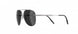 6560 - Ruthenium Black - SLM Grey