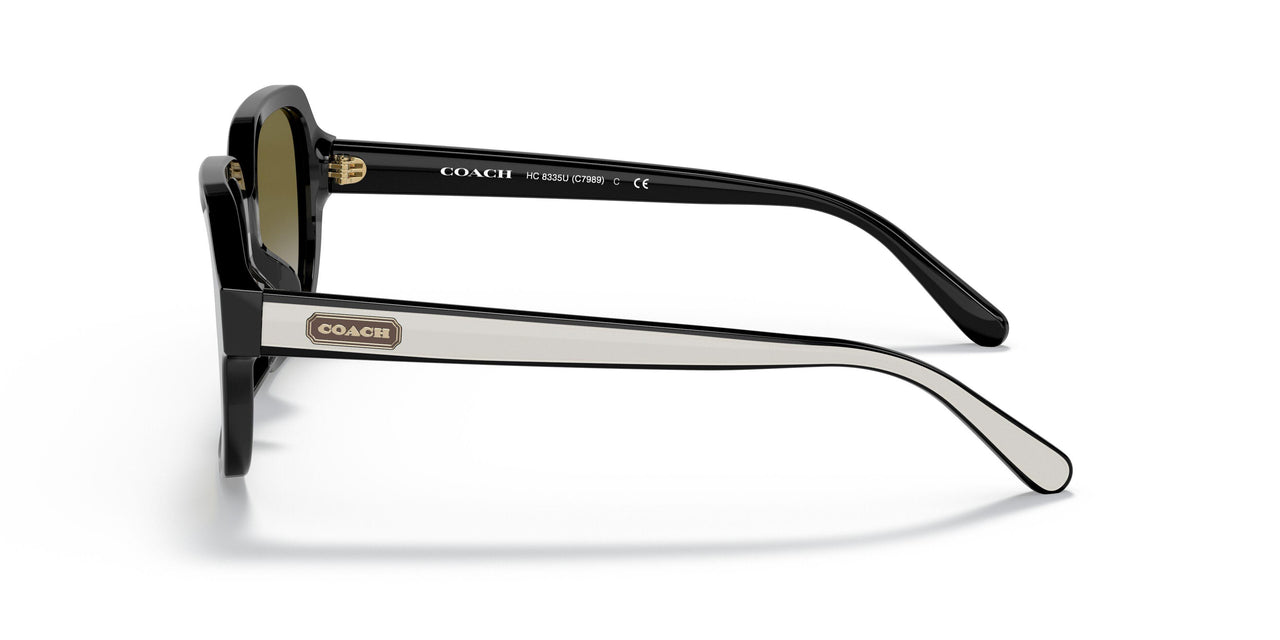 50027Z - Black - Olive Gradient