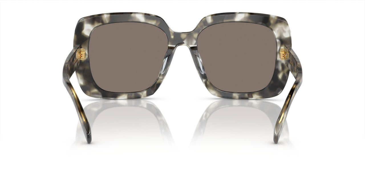 19405A - Black/white Tortoise - Light Brown Mirror Gold