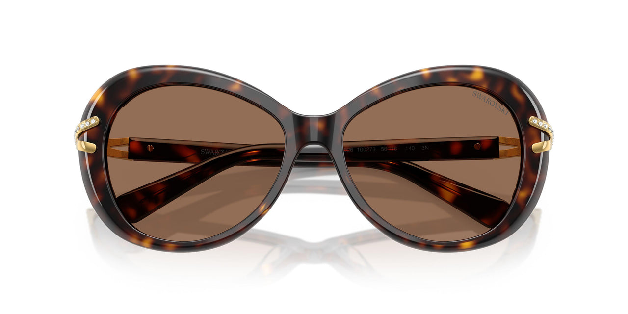 100273 - Tortoise - Dark Brown