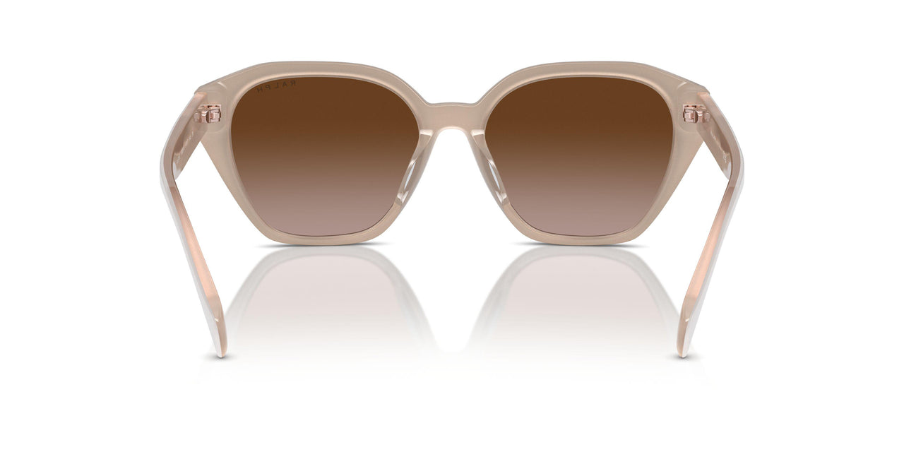 606313 - Beige - Gradient Brown