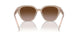 606313 - Beige - Gradient Brown