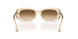 690251 - Pink - Clear Gradient Brown