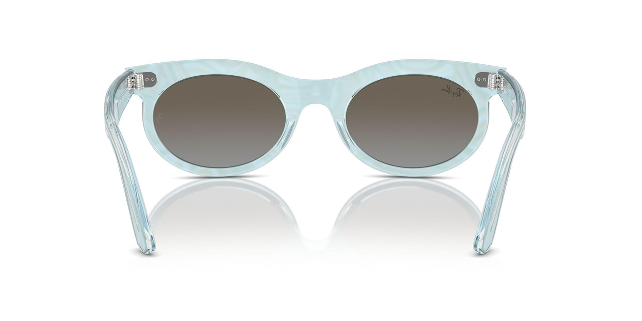 138596 - Light Blue - Blue Brown