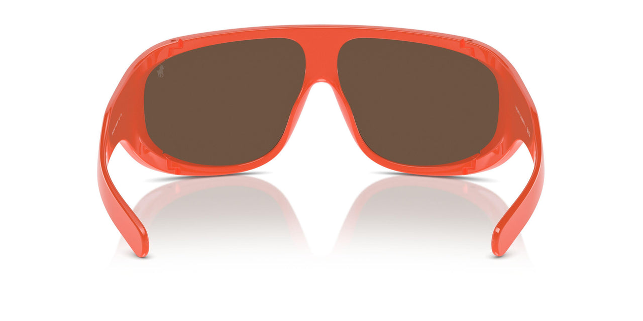 6100F9 - Orange - Brown Mirror Bronze