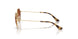 223/13 - Gold - Gradient Brown
