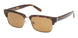 ABERCROMBIE & FITCH 00033 Sunglasses