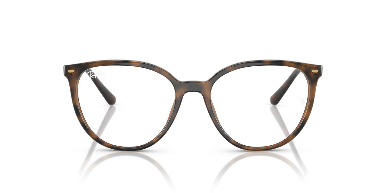 2012 - Brown - Clear