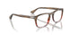 1206 - Brown - Clear