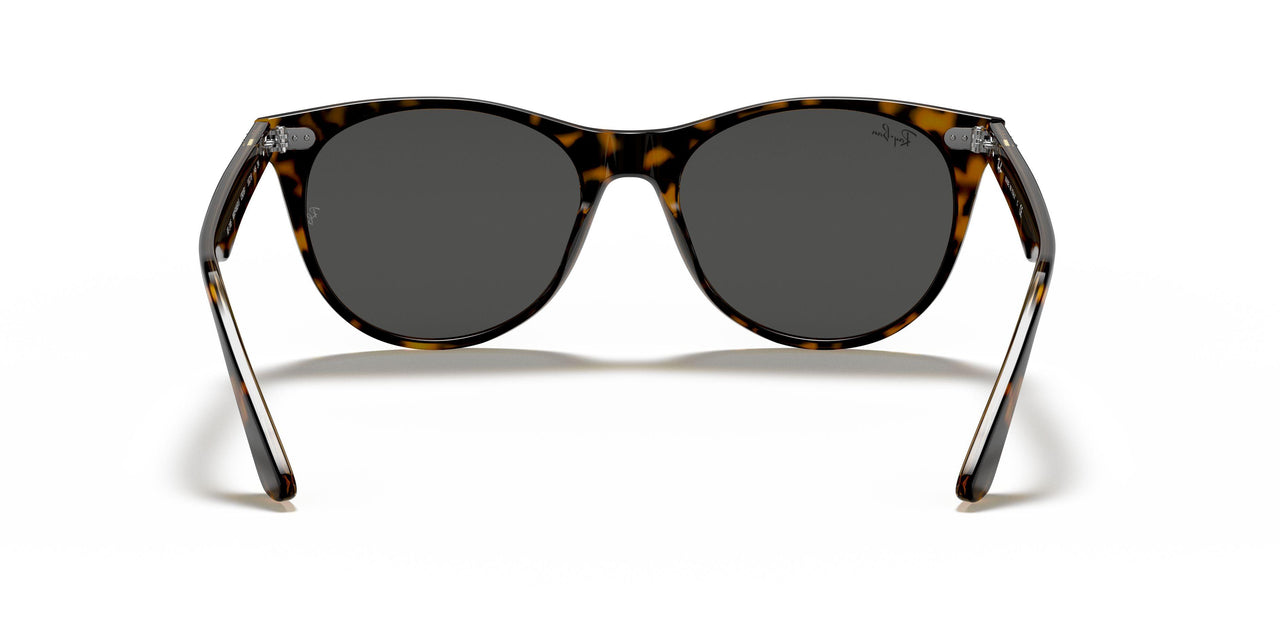 1292B1 - Havana On Trasparent Light Bro - Dark Grey