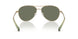 61219A - Gold - Dark Green Polarized
