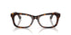 3002 - Brown