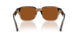 420773 - Beige - Dark Brown