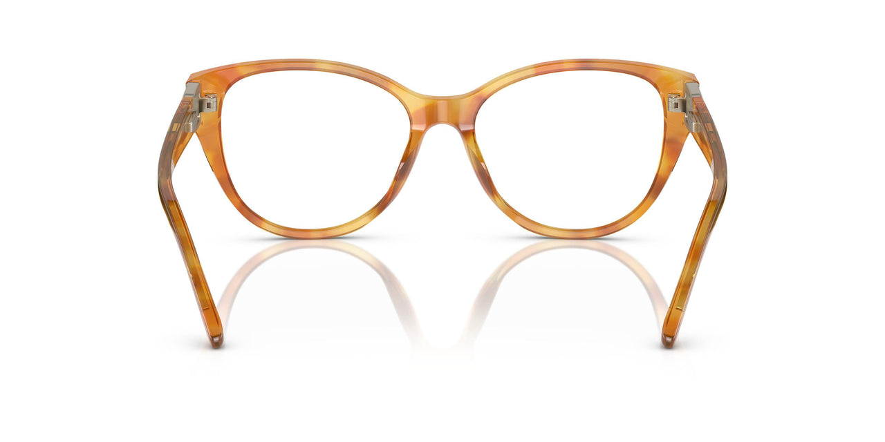 6051 - Tortoise
