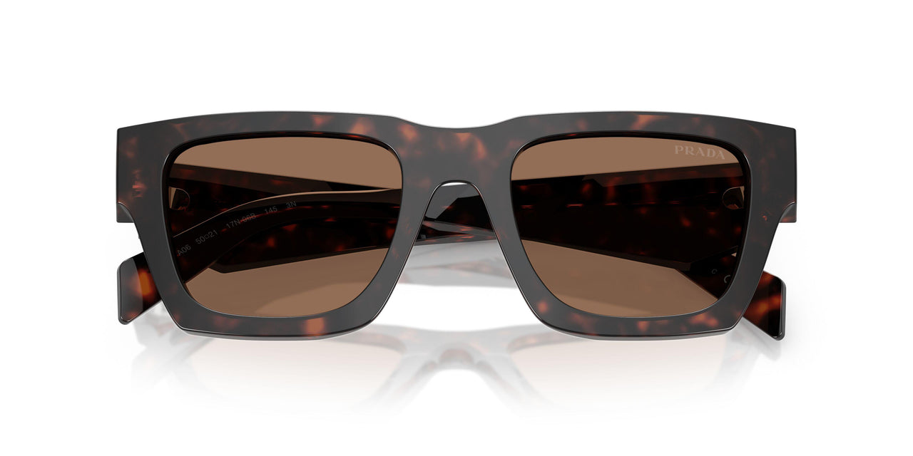 17N06B - Tortoise - Dark Brown