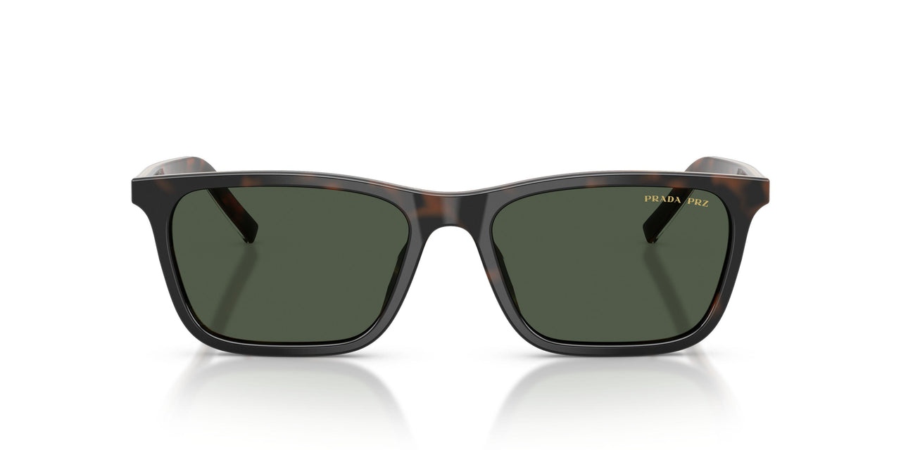 20P90V - Tortoise - Dark Green Polarized
