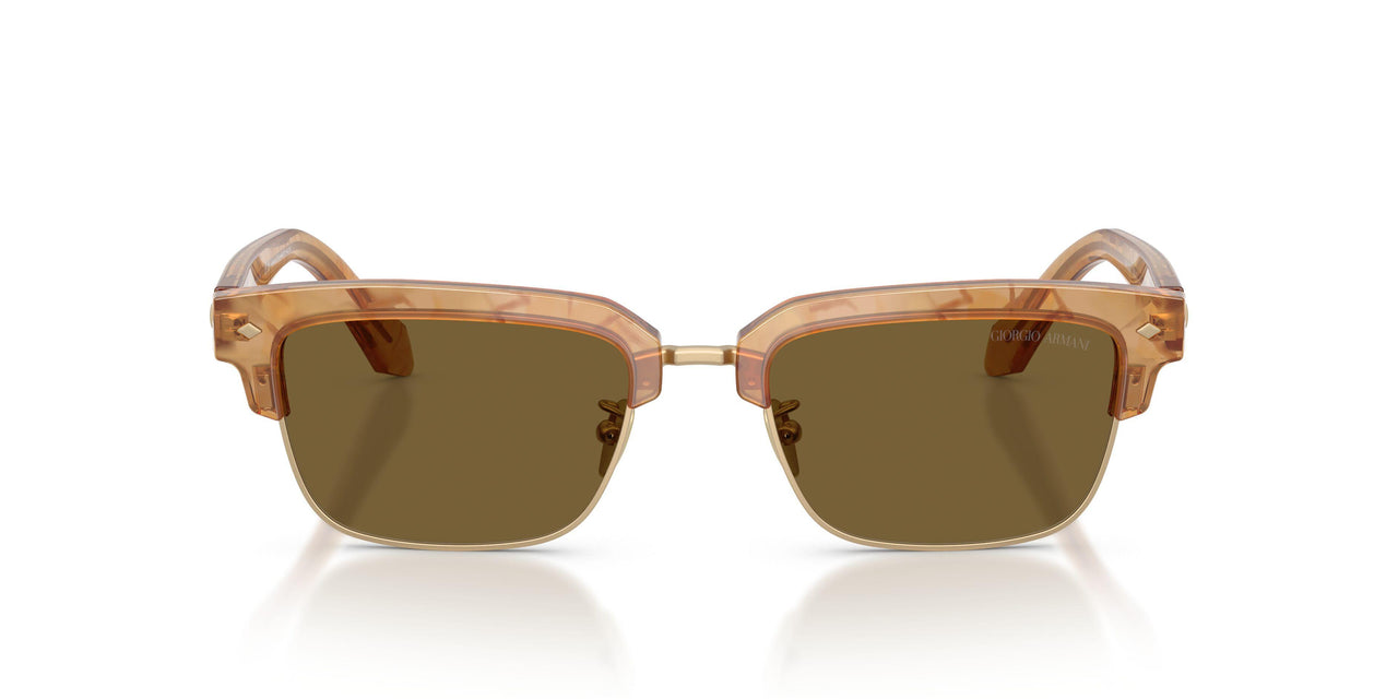 630073 - Tortoise - Dark Brown