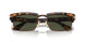 110231 - Tortoise - Green