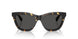 410687 - Tortoise - Dark Grey