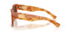 425673 - Tortoise - Dark Brown
