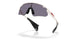 952505 - White - Prizm Grey