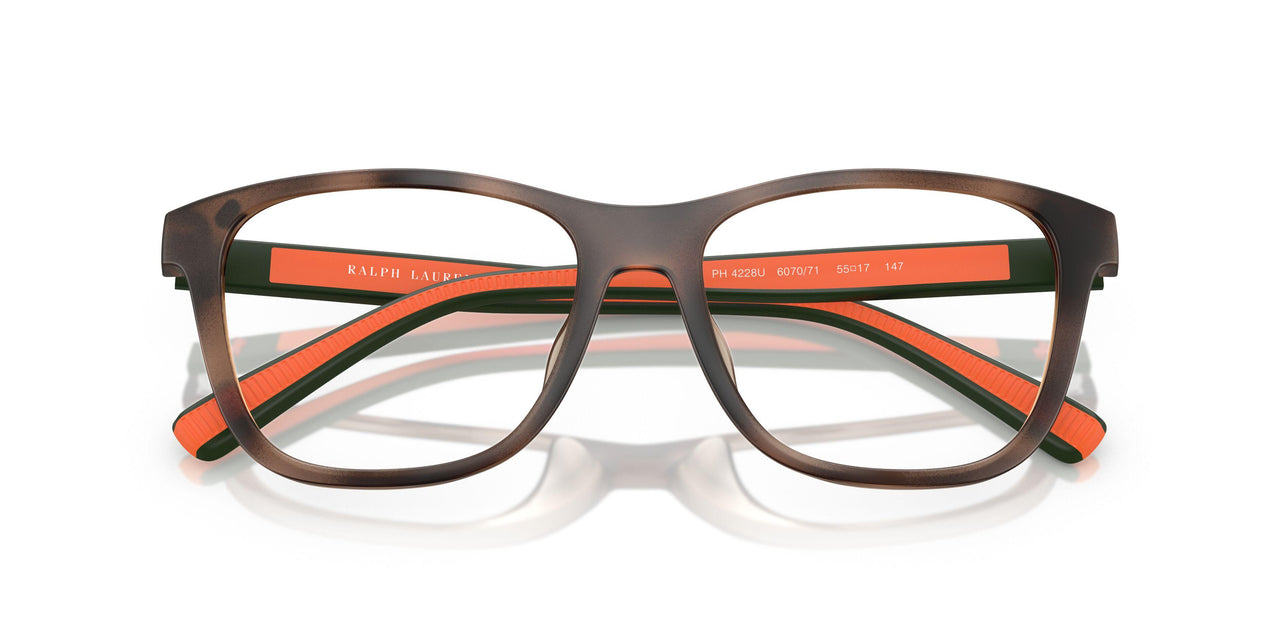 607071 - Tortoise - Bottle Green