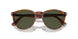 115731 - Brown - Green