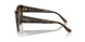 238613 - Brown - Gradient Brown