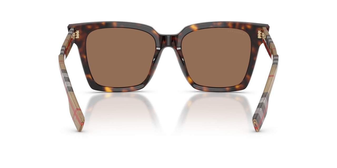 390373 - Brown - Dark Brown