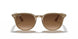 616613 - Light Brown - Brown Gradient