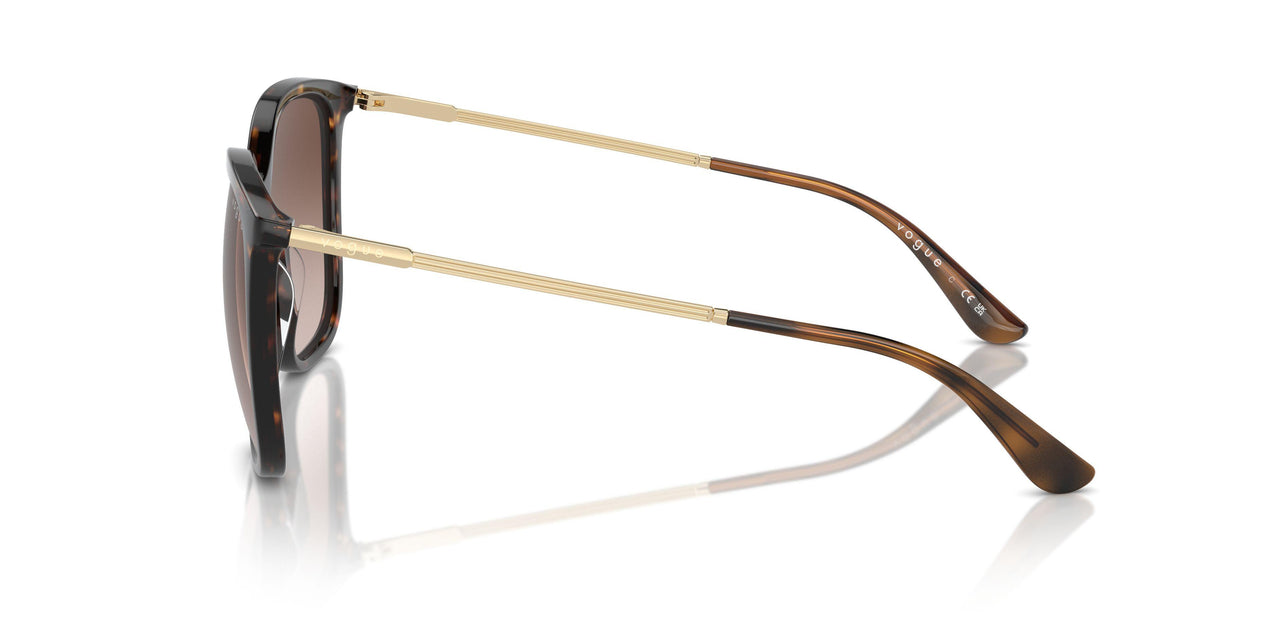 W65613 - Brown - Brown Gradient