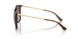W65613 - Brown - Brown Gradient