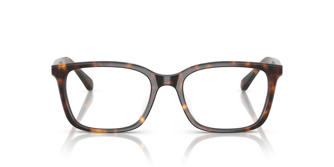 W656 - Brown