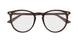 017 - Brown - Transparent